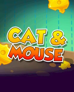 Cat-mouse-game-img1